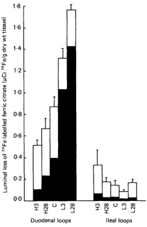 Fig. 2. Expt  3. Luminal loss of 5BFe-labelled  ferric citrate from duodenal or ileal loops @Ci "Fe/g  dry  wt  tissue) in  rats given a  high-Fe  (H),  control (C) or low-Fe  (L)  diet during  the  3 d  (H3, L3) or 28 d  (H28, L28) before the in vivo 