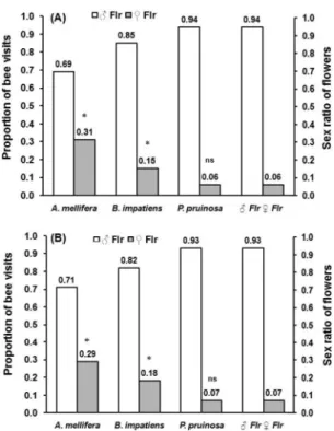 Table 1. Bee species observed in 35 pumpkin fields in New York in 2008 (n ⴝ 12) and 2009 (n ⴝ 23)