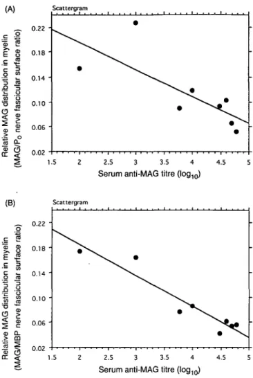 Fig. 3 Correlation of MAG distribution in PPN myelin with serum anti-MAG M-IgM titres