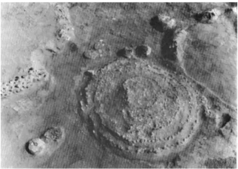 FIGURE  14.  Inverted  bowls around the  superstruciure  of an  Early Kerma  tomb  (around  2400  RC)