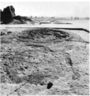 FIGURE  8.  The large hut. 