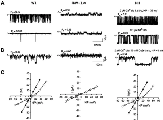 Figure 8. Single-channel activities of WT, Arg110Trp þ Leu486Val and Asn2283His RyR1 ion channels
