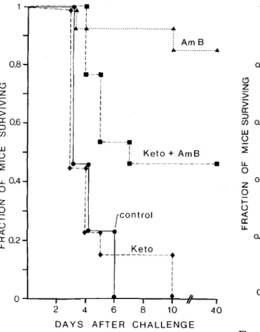 Figure 3. Antagonism of the protective activity of am- am-photericin B by ketoconazole