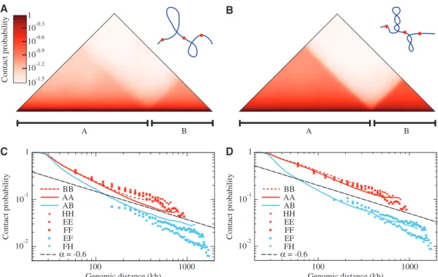 Figure 1. Models that impose strong supercoiling of individual topological domains recapitulate experimental 3C data
