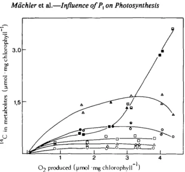 FIG. 3. '*C incorporation into pentose monophosphates, fructose monophosphate and glucose monophosphates during photosynthesis by chloroplasts in the presence of NaH 14 CO 3  at 5 °C and 25   C C