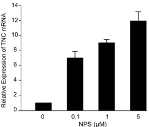 Figure 1. Dose-dependent expression levels of TNC-mRNA after NPS stimu- stimu-lation in concentrations 0.1, 1 and 5m M for 6 h of NPSR1-A transfected HEK 293H cells