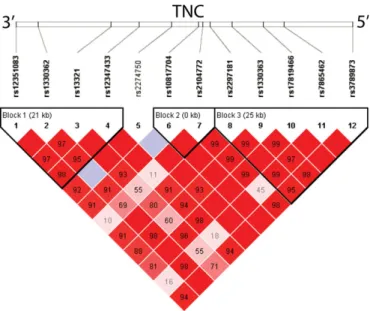 Table 1. Genetic association between TNC polymorphisms and current rhinoconjunctivitis in children from the PARSIFAL study