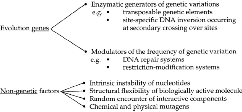 Fig. 1. Evolution genes and non-genetic factors contribute to the generation of genetic variations.