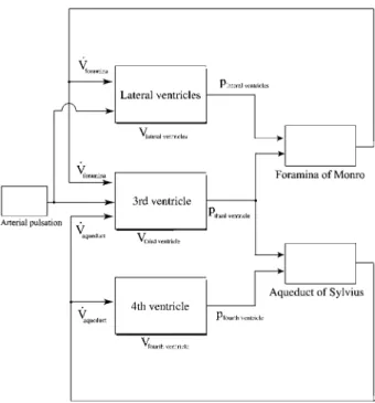 Figure 3 Frequency spectrum, discrete Fourier transformation of the flow in the aqueduct of Sylvius (set 11).