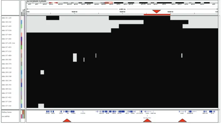 Figure 1. High-resolution analysis of the del(13q14.3). Ideogram of chromosome 13 with a zoom on 4 Mb encompassing RB1, MIR15A/MIR16 and DLEU7.