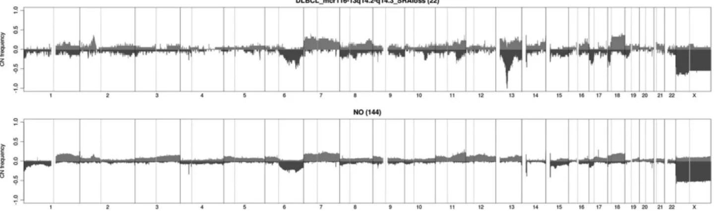 Figure 4. Frequency of DNA gains and losses observed in 166 diffuse large B-cell lymphomas patients according to the presence of del(14q14.3)