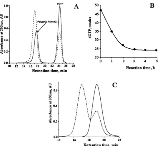 Figure 1 depicts the synthesis of poly(dG)–poly(dG)–poly(dC) triplex from poly(dG)–poly(dC) by Klenow exo  , conducted as described in ‘Materials and Methods’