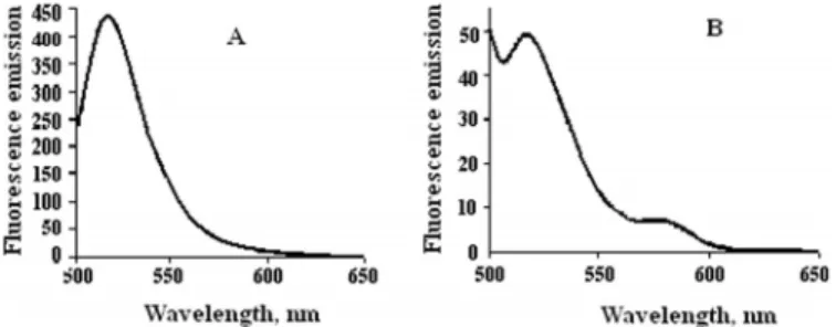 Figure 6. Fluorescence emission spectra of the product of Flu-(dC) 220 –(dG) 220 - -TAMRA extension