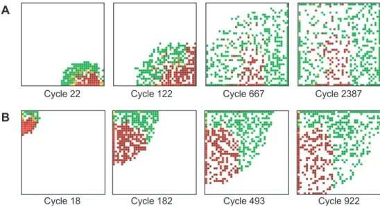 Fig. 2. Unsupervised learning by self-organizing Kohonen maps. Using the input residues outlined in Figure 1C, Kohonen SOMs of size 40 × 40 were trained with different amino acid representation formats