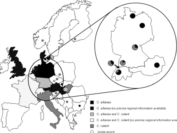 Fig. 4. Attack of garlic mustard by C. alliarae and C. roberti at different Þeld sites sampled between 1998 and 2002