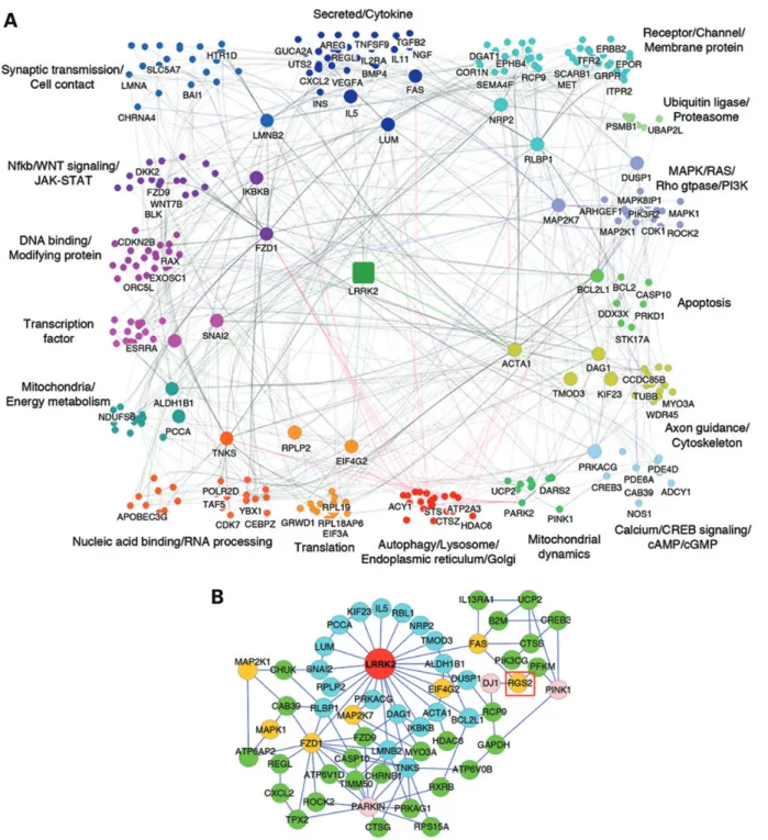 Figure 1. Reverse-engineering of the LRRK2 gene regulatory network. (A) The CLR algorithm was applied to genomic profiling data from human PD patients and control cases to generate an in silico LRRK2 gene regulatory network