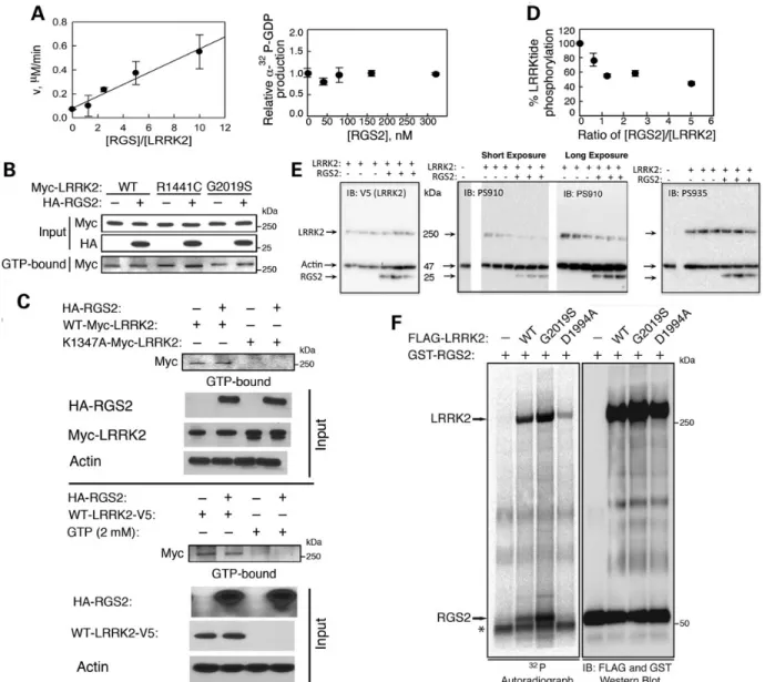 Figure 5.RGS2 regulates the GTPase and kinase activities of LRRK2. (A) Recombinant RGS2 increases the GTPase activity of immunopurified full-length LRRK2 in a dose-dependent manner, as measured by the production of a- 32 P-GDP in the a- 32 P-GTP hydrolysis