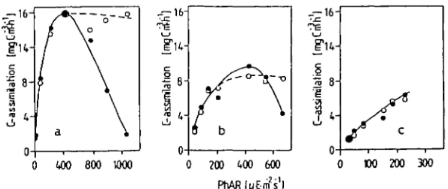 Fig. 3.  l4 C-Assimilation of phytoplankton (P/I curves): incubations in Horw Bay (Lake Lucerne) with and without the influence of u.v.-A