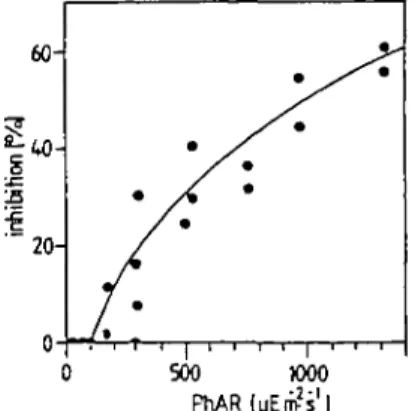 Fig. 7. Relation between photoinhibition and PrLAR-intensity at a mean u.v.-A intensity of 85.8 ±