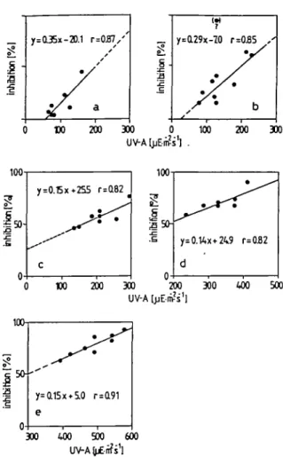 Fig. 8. Relation between photoinhibition and u.v.-A at constant PhAR-intensities. Summary of  14 C- C-assimilation measurements with Horw Bay phytoplankton incubated in the presence of u.v.-A and an HPL-R light source