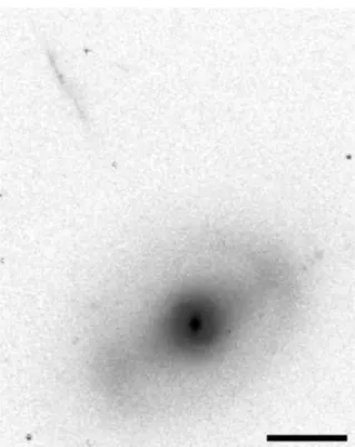 Figure 4. A jet? i-band image of S2B 1 and the jet-like object pointing back to its center