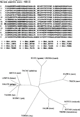 Fig. 11. Hemoglobin alpha-I constructed using the new method.