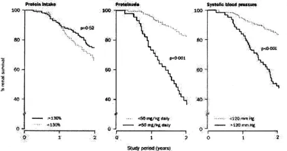 FIG. 2. Renal survival during follow-up with regular pediatric nephrologic appointments and dietetic counseling