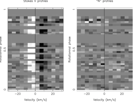 Figure 1. Rotational modulation of line profiles. Left, Stokes V profiles calculated with a G7 line-mask