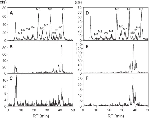 Figure 2. [ 3 H]Mannose-labeled lipid- and N-linked oligosaccharide profiles. HPLC separation of lipid-linked oligosaccharides from yeasts used as standard (A, D), of control human fibroblasts (B) and of patient FR fibroblasts (C) after metabolic labeling 