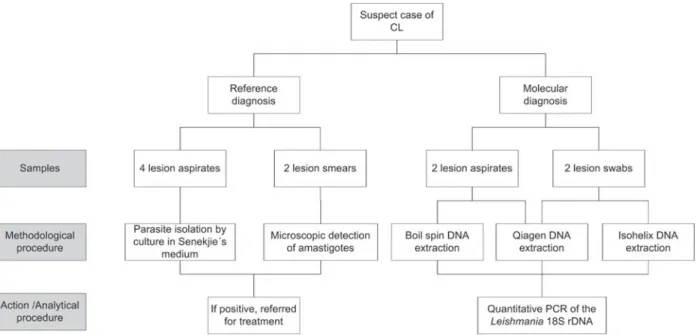 Fig. 1. Flow of samples in evaluation. Two lesion smears and 4 aspirates were obtained as part of the reference