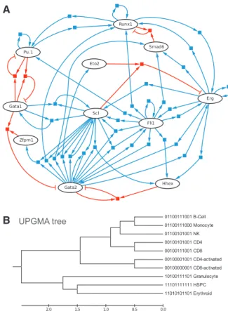 Fig. 1. A blood stem cell regulatory network model grounded on com- com-prehensive cis-regulatory information