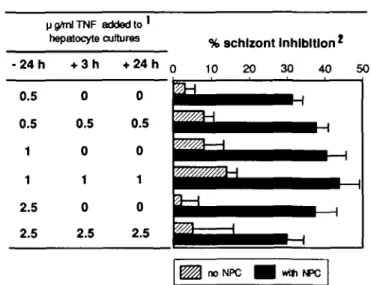 Fig. 1. Effect of TNF in the presence of NPC. 'rmTNF was added at different times (indicated in hours) after sporozoite inoculation.