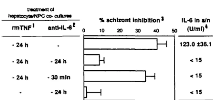 Fig. 2. IL-6 levels in culture supernalants.  1 1.0 /ig/ml, final concentra- concentra-tion  2 1:100, final dilution