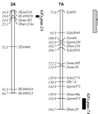 Figure 4. Partial linkage maps of chromosomes 2A and 7A showing chromosomal location of significant QTL for grain Fe and Zn concentrations