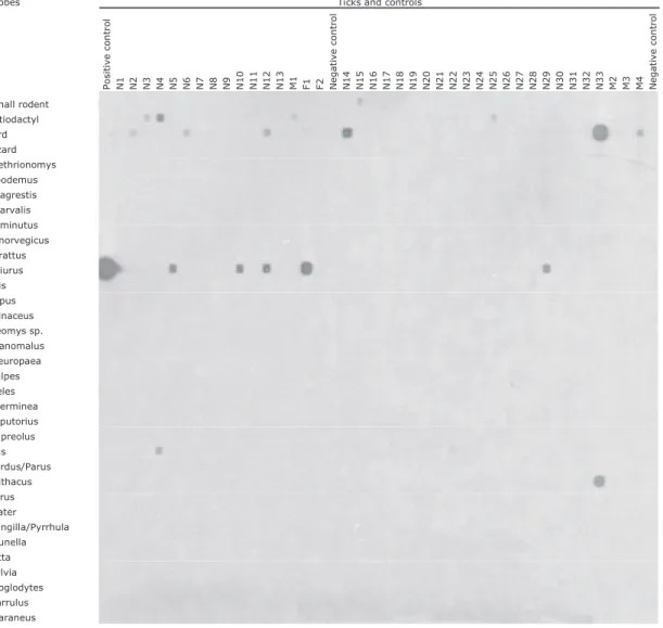 Fig. 3. Reverse line blot assay for the identiÞcation of vertebrate host species in questing I