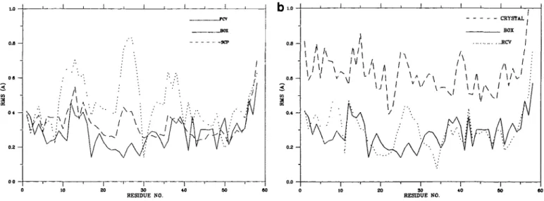 Fig. 2. Root mean square fluctuations of Ca atoms for averaged structures from molecular dynamics runs, (a) Vacuum simulation (FCV), screened potential (SCP) and explicit solvent simulation (BOX), (b) vacuum simulation (RCV), explicit solvent simulation (B