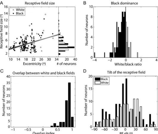 Figure 2. RF parameters and population analysis. ( A ) The average RF size is plotted against the eccentricity in the visual ﬁ eld of the center of the RF separately for black (black circles) and white (open circles) RFs