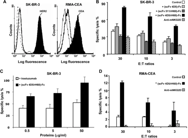 Fig. 5. Antigenic profile and susceptibility to LAK cells lysis, without and with recombinant bifunctional proteins (scFv anti-TAA/rH60)-Fc, of the different tumor cell lines tested