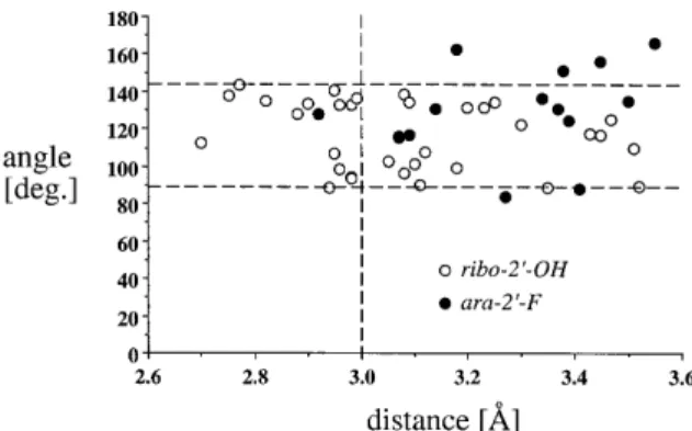 Figure 5. Comparison between the distributions of water molecules around the ara 2 ′ -fluorine atoms in the SS and ST dodecamer duplex crystal structures ( f ) and around the ribo 2′-hydroxyl groups in the crystal structure of the RNA duplex [r(CCCCGGGG)] 