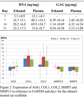 Figure 2: Expression of AGG, COL1, COL2, MMP3 and  MMP13 in reference to GAPDH and day1 for the ethanol  treated ear scaffolds 