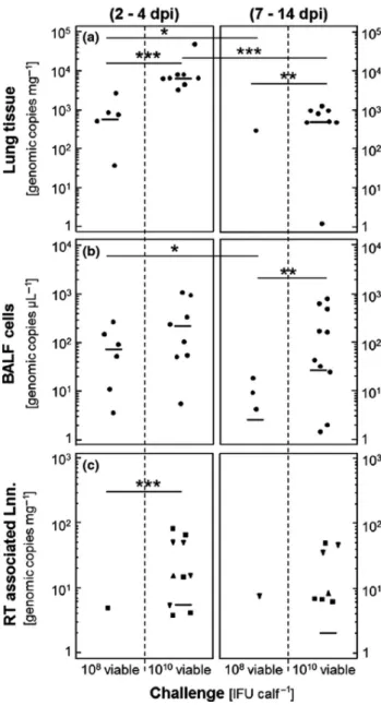 Figure 7. Genomic copy numbers of Parachlamydia acanthamoebae detected in tis- tis-sue according to challenge and time point of sampling
