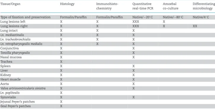Table 1. Tissues sampled during necropsy according to type of preservation and further examination.