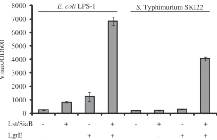 Fig. 5. Quanti ﬁ cation of anti-GM3 binding to whole cells demonstrates higher display levels in E