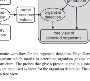Fig. 1. Schematic workflow for the organism detection. PhyloDetect uses the probe-organism match matrix to determine organism groups and their hierarchical structure