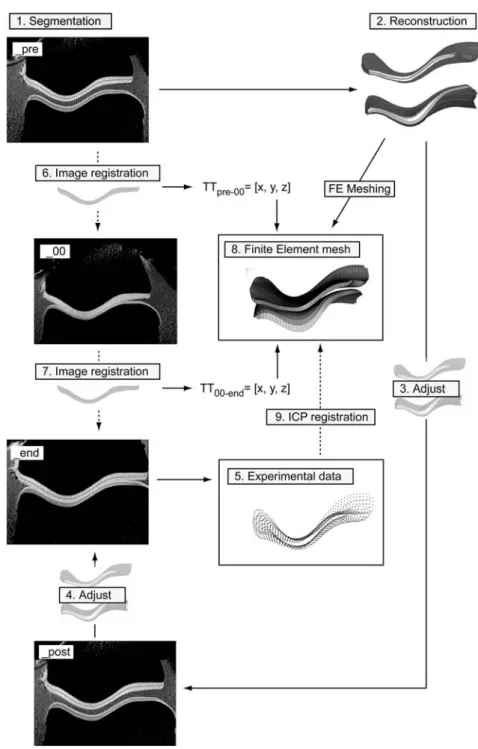 Figure 2 Flowchart of the entire pre-processing step to obtain the experimental data (5) and generate the FE model (8).