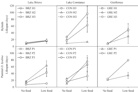 Fig. 3. Average lifespan of the different clones in the starvation experiment under no food and low food conditions