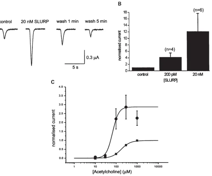 Figure 4. SLURP-1 can modulate nicotinic acetylcholine function in vitro. (A) Current responses before and after 5 min exposure to 20 n M SLURP-1
