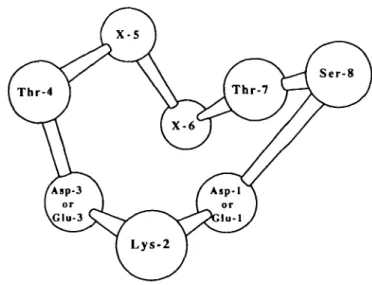 Table 3 Inferred assignments of the variable fifth (X-5) and sixth (X-6) recognition sites of the primate sweetness receptors