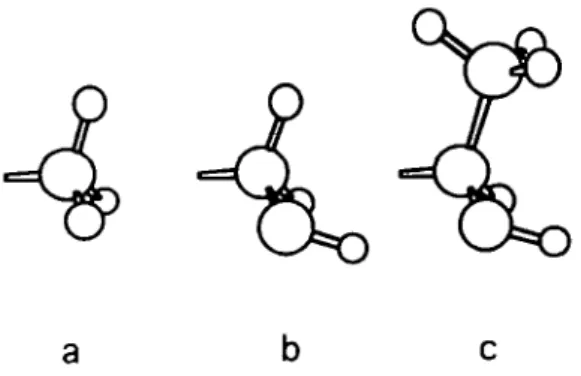Figure 25 The various possibilities of interaction of a sweetener through steric interactions (steric fits) for the (a) platyrrhine, (b) prosimian and (c) catarrhine sweetness receptors, in order of increasing complexity (Glaser ef a/., 1996).