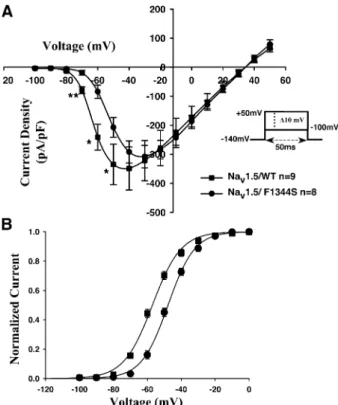 Fig. 3. The family of whole-cell sodium current traces from (A) Na v 1.5/WT and from (B) Na v 1.5/F1344S expressed in the tsA201 cell line